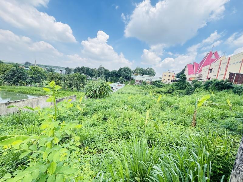 Bán Đất 3.999m² Phường Phước Tân Thành Phố Đồng Nai Giá Chỉ 18 Tỷ