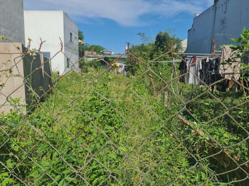 Bán Đất Thổ Cư 271m² Gần Huỳnh Văn Nghệ Phường Tân Triều Giá Chỉ 3 Tỷ