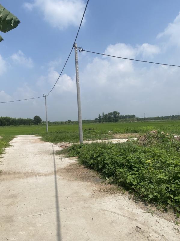 Bán Đất Thổ Cư 80m² Phường Tân Triều Giá Chỉ 980 Triệu