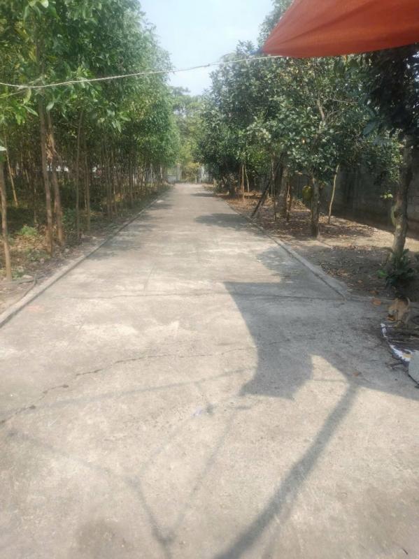 Bán Đất Trang Trại 5.300m² Mặt Tiền Đường Lộc An, Long Thành Đồng Nai Giá Chỉ 54,8 Tỷ