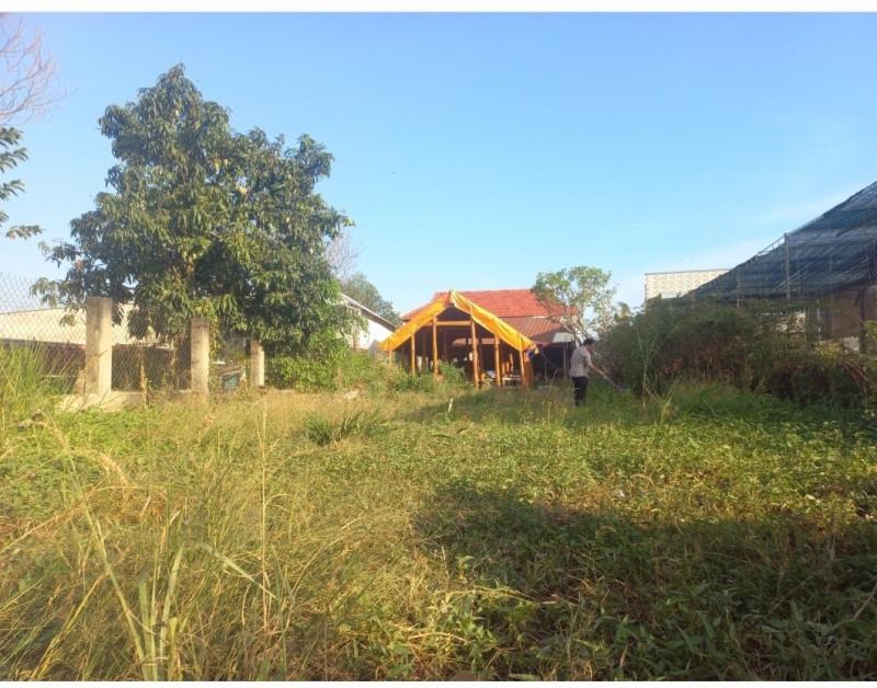 Bán Đất 1.293m² Tặng Nhà Gỗ 2 Tầng Phường Vĩnh Thanh TP. Đồng Nai Giá Chỉ 6,5 Tỷ