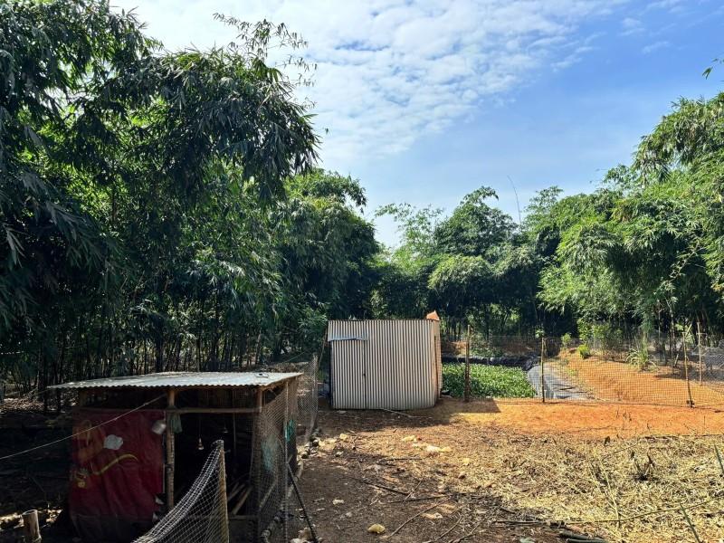 Bán Vườn Nuôi Thú 12.540m² Bàu Cạn, Long Thành Giá 10,5 Tỷ