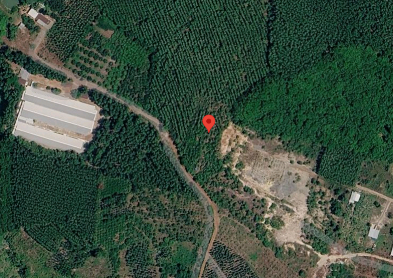 BÁN ĐẤT SẢN XUẤT PHI NÔNG NGHIỆP (SKC) 3.000M² TẠI XÃ TÂN AN.
